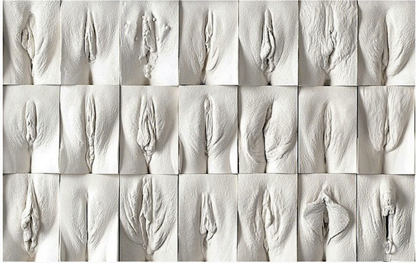 Слепки вагин Джейми Маккартни