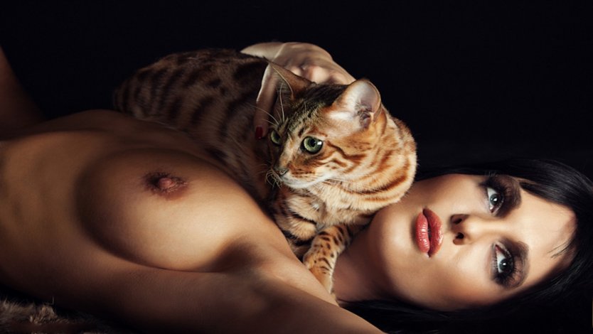 Женщина кошка эро косплей