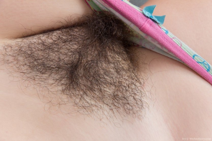 Светлые волосики на лобке