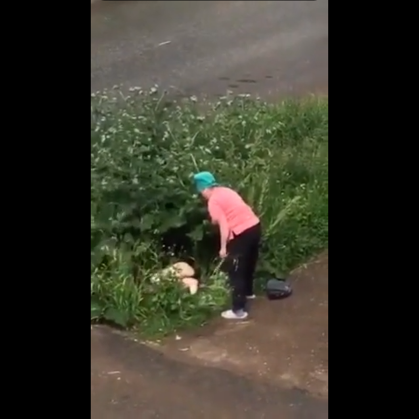 Девушка мочится в кустах