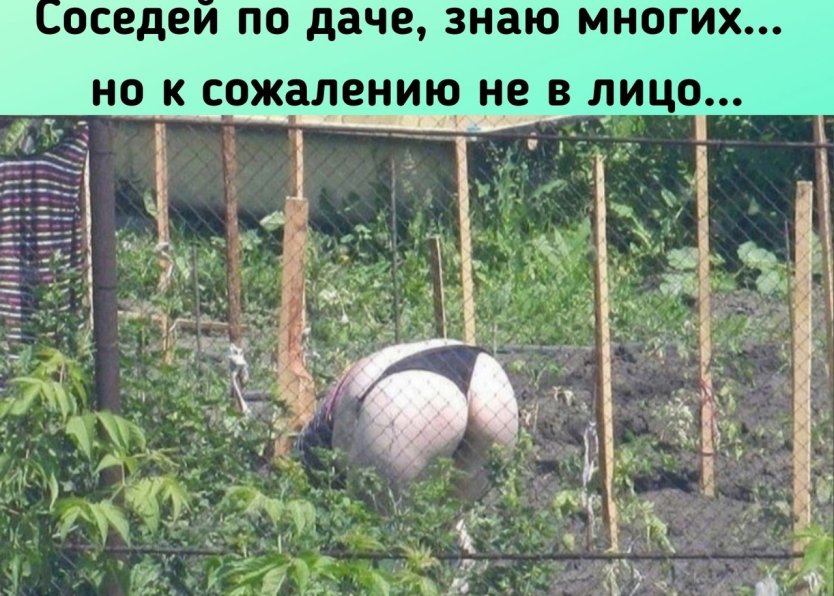 Соседка на даче