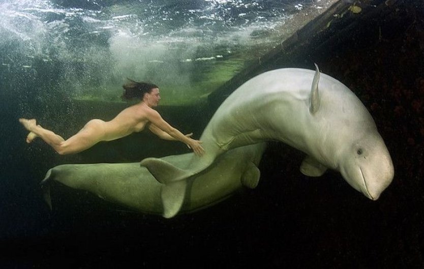 Наталья Авсеенко Белухи