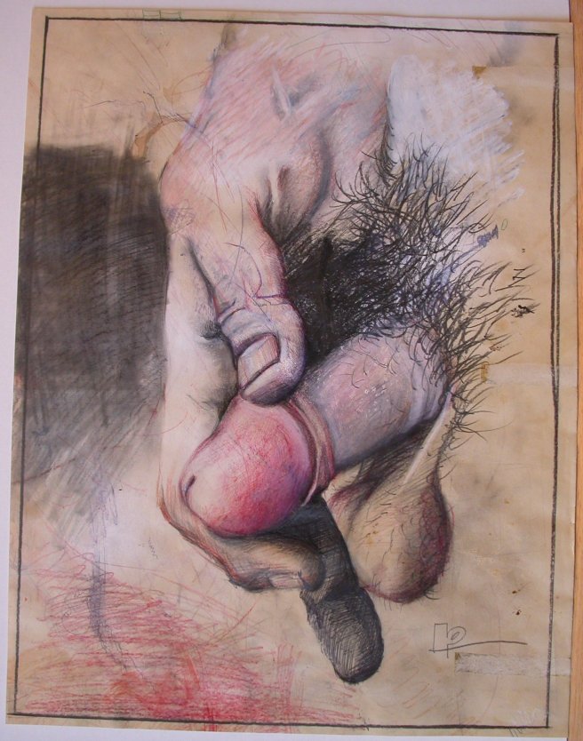 Рисование половых органов
